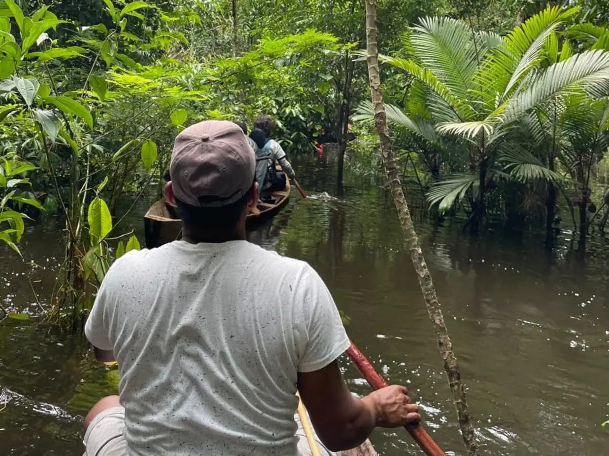 amazon jungle boat tour